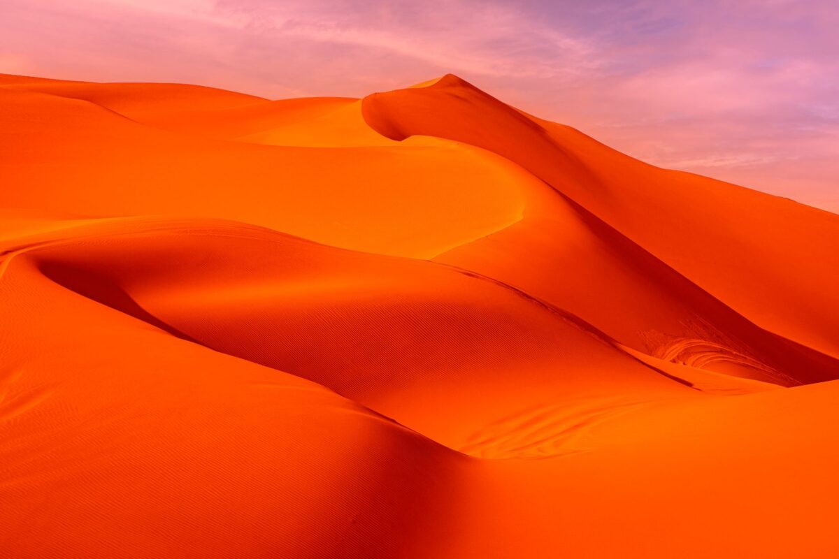 forums crimson desert se trouve communauté