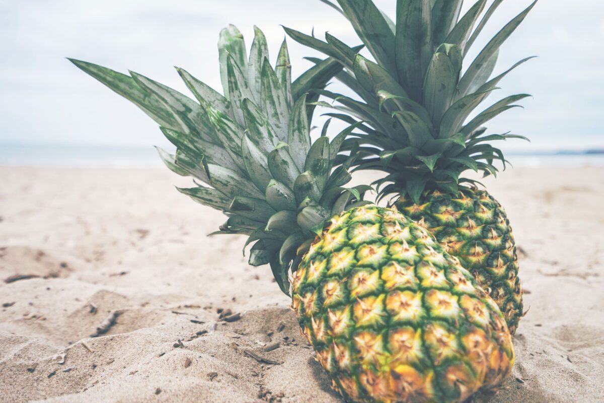 animal crossing new fruits îles mystères